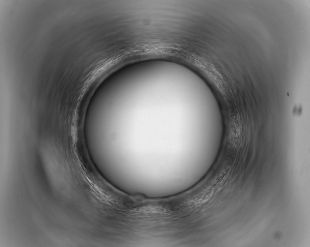 X0000100980578200806241545