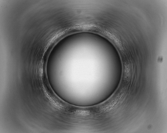 X0000100980582200806241545