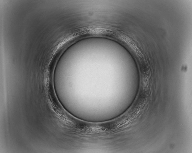 X0000100980583200806241545