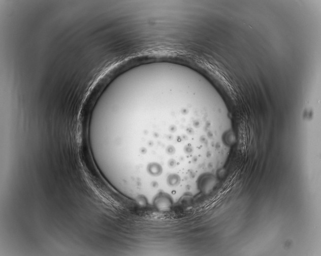X0000100980584200806241545