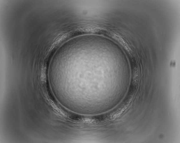 X0000100980585200806241545