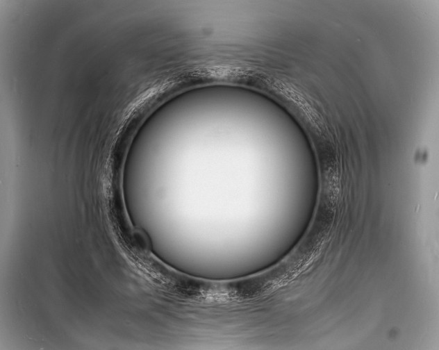 X0000100980587200806241545
