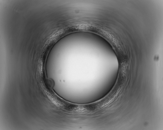 X0000100980589200806241545