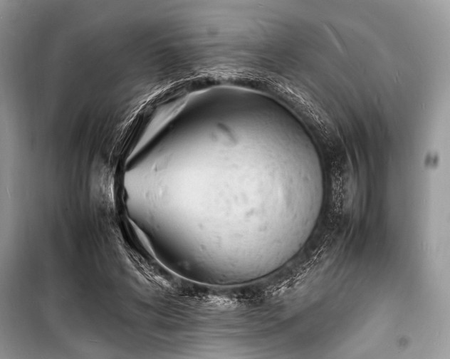 X0000100980592200806241545