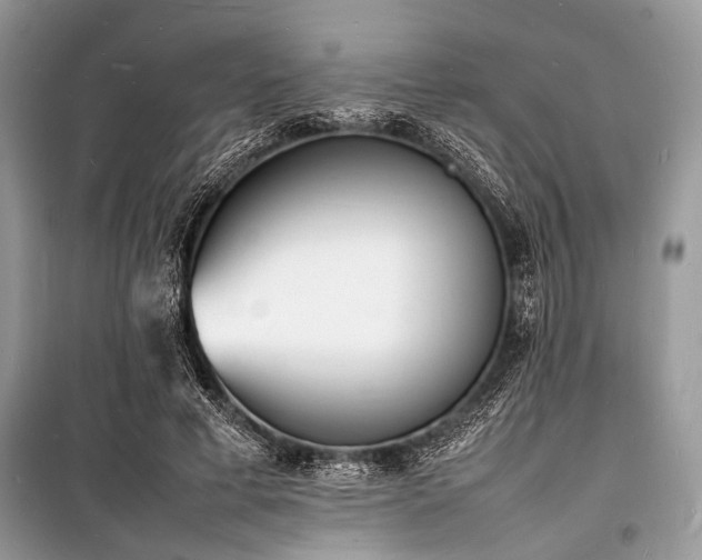 X0000100980593200806241545