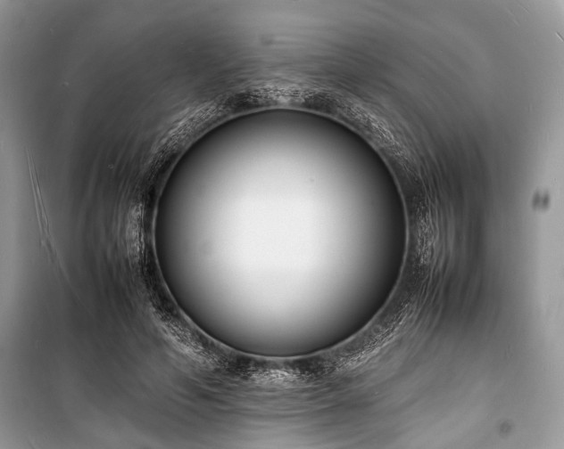 X0000100980594200806241545