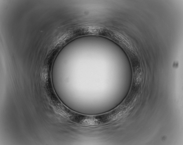 X0000100980595200806241545