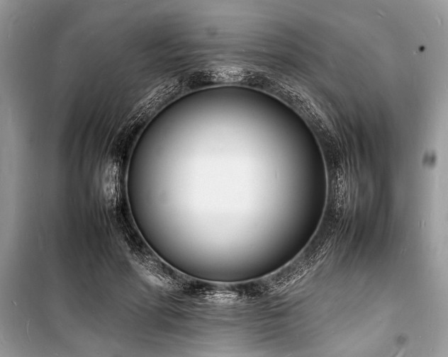 X0000100980598200806241545