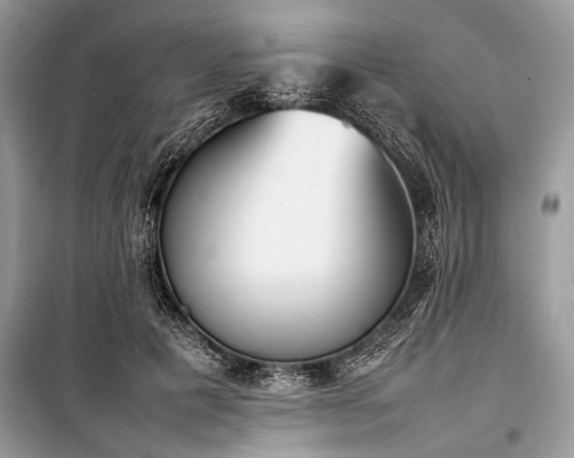 X0000100980601200806241545