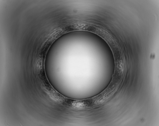 X0000100980602200806241545