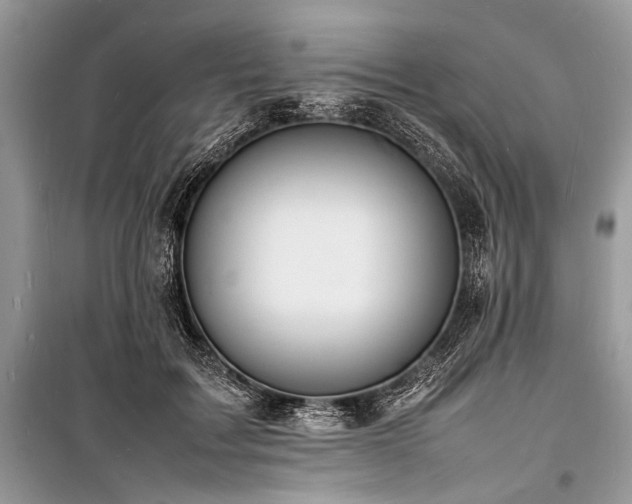 X0000100980603200806241545