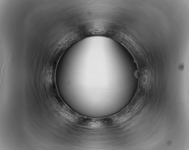 X0000100980604200806241545