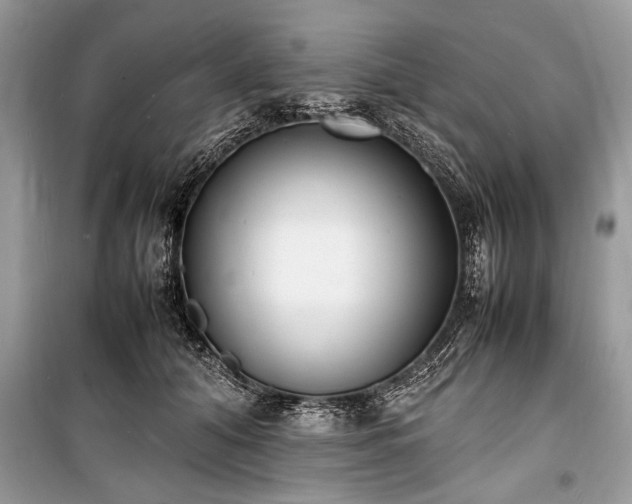 X0000100980608200806241545