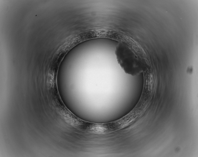 X0000100980610200806241544