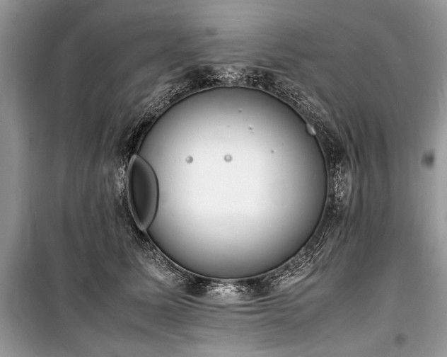 X0000100980611200806241544