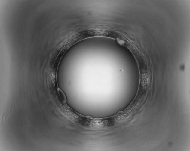 X0000100980613200806241544