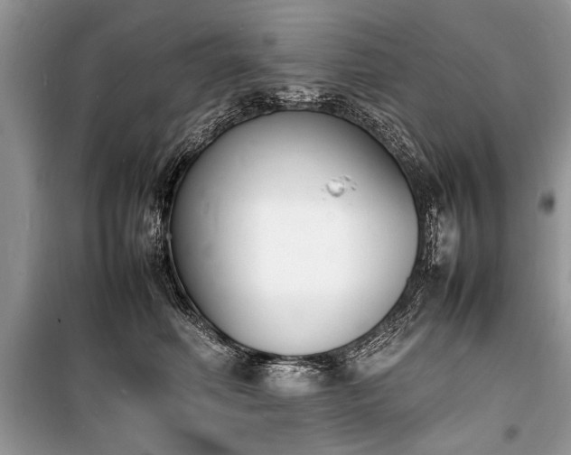 X0000100980614200806241544