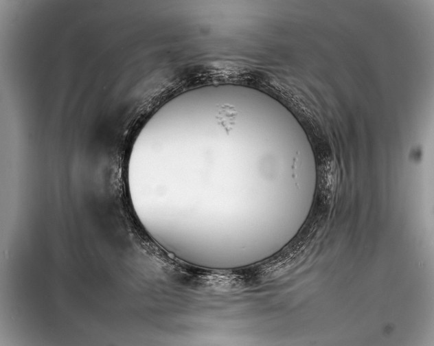 X0000100980615200806241544