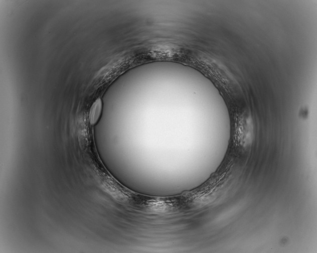 X0000100980616200806241544