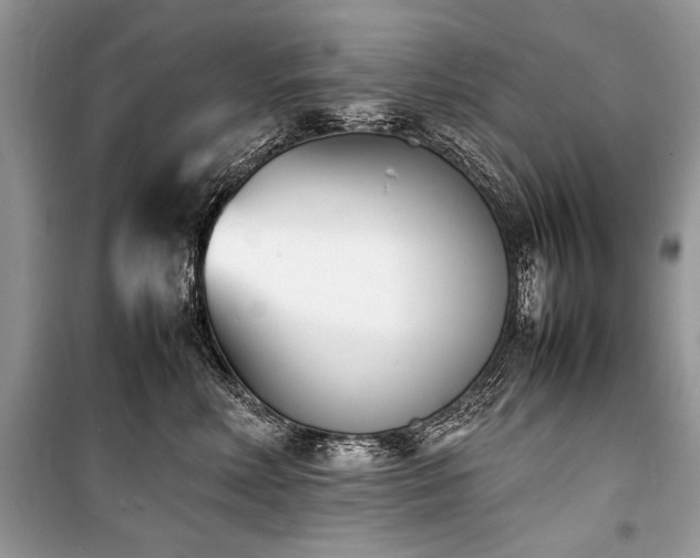 X0000100980618200806241544