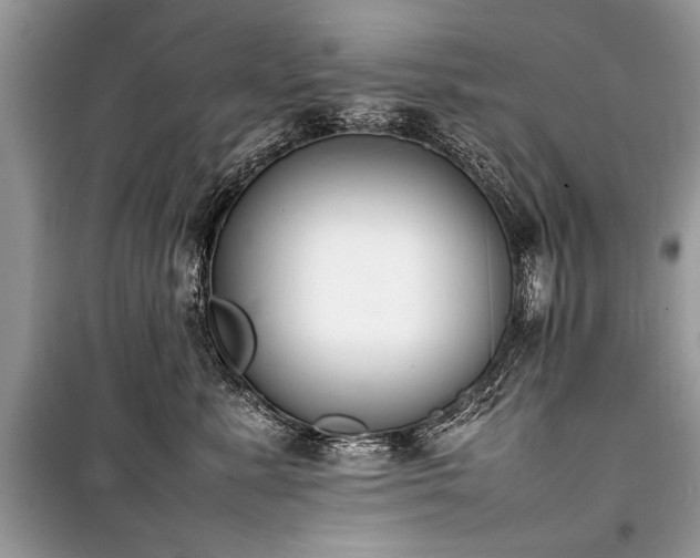 X0000100980619200806241544
