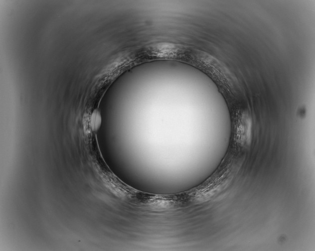 X0000100980620200806241544