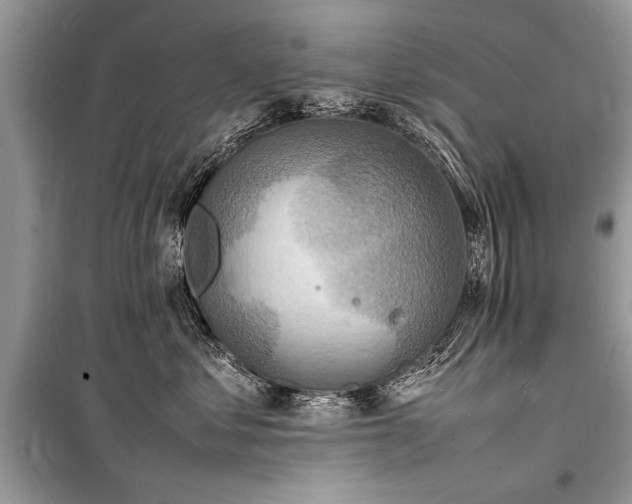 X0000100980621200806241544