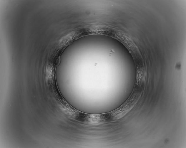 X0000100980623200806241544