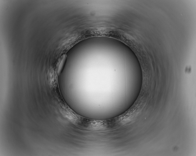 X0000100980624200806241544