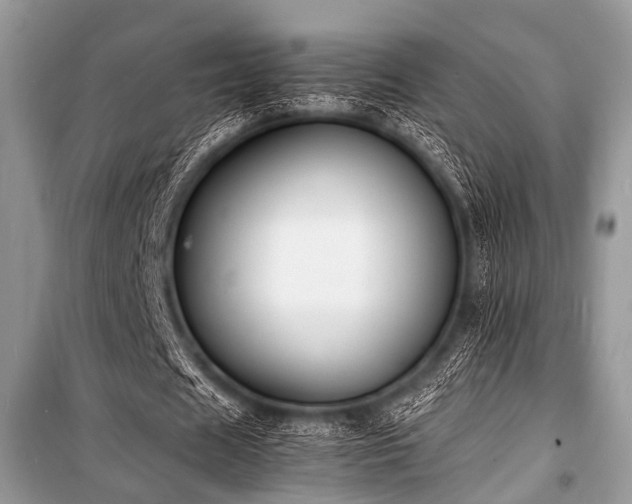 X0000100980625200806241543