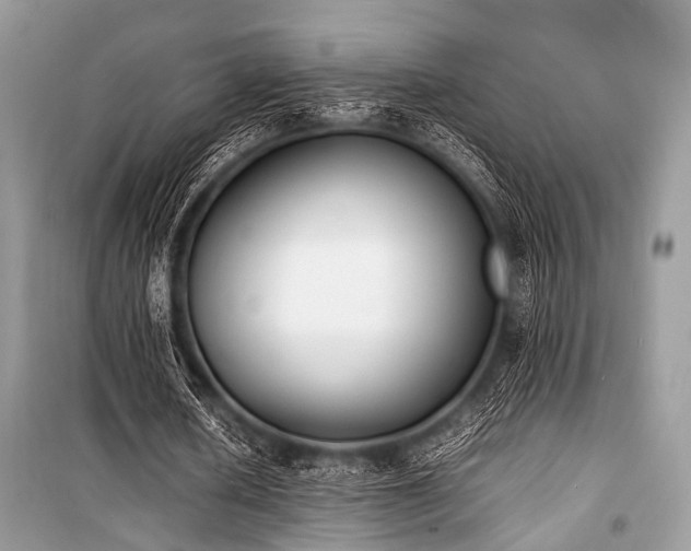 X0000100980626200806241543