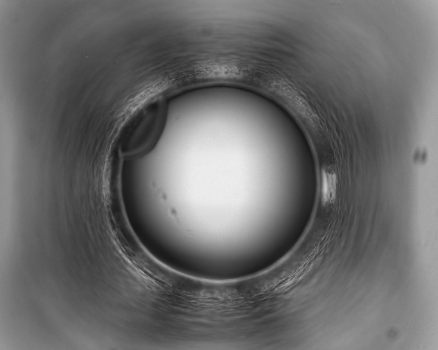 X0000100980627200806241543