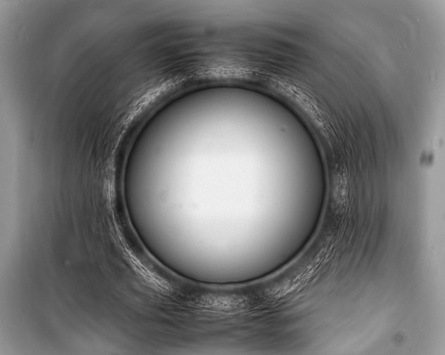 X0000100980629200806241543