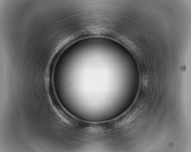 X0000100980630200806241543