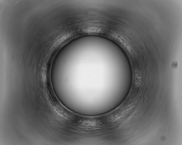 X0000100980631200806241543