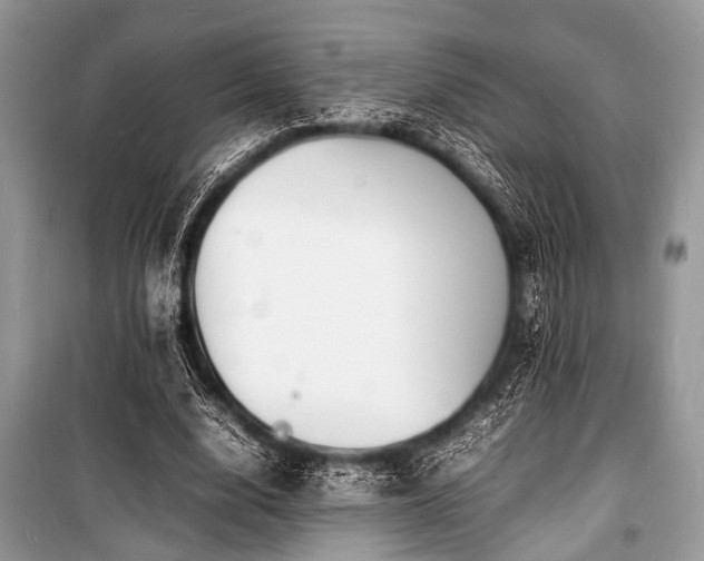 X0000100980632200806241543