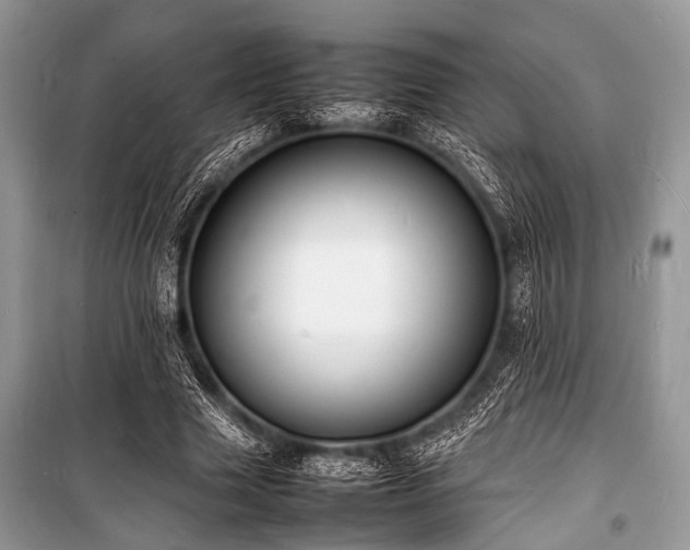 X0000100980633200806241543