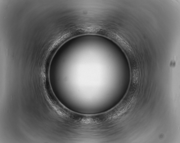 X0000100980634200806241543