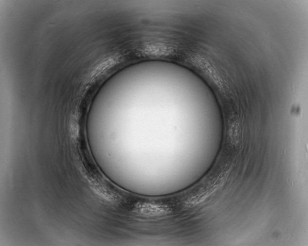 X0000100980635200806241543