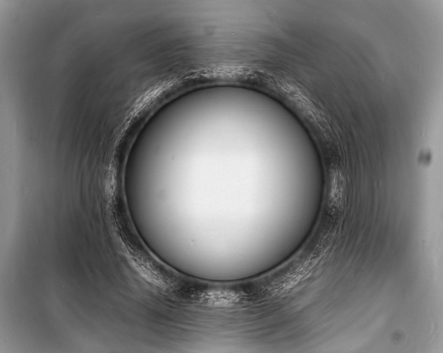X0000100980636200806241543