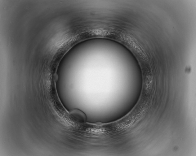 X0000100980639200806241544