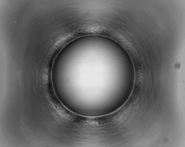 X0000100980640200806241544