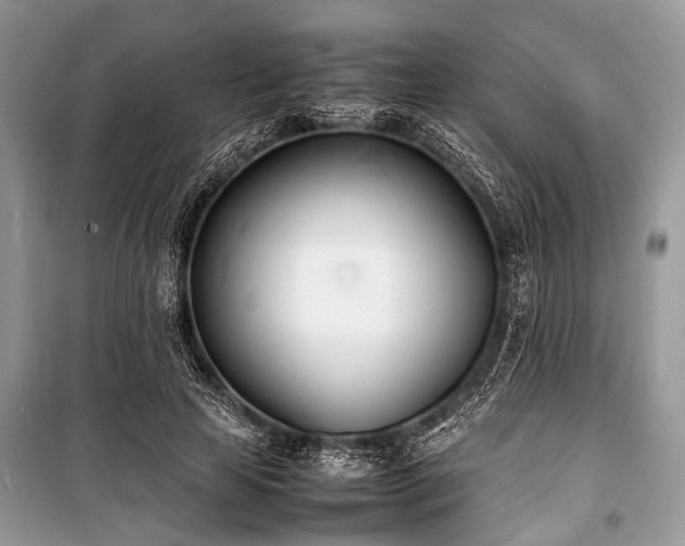 X0000100980641200806241544