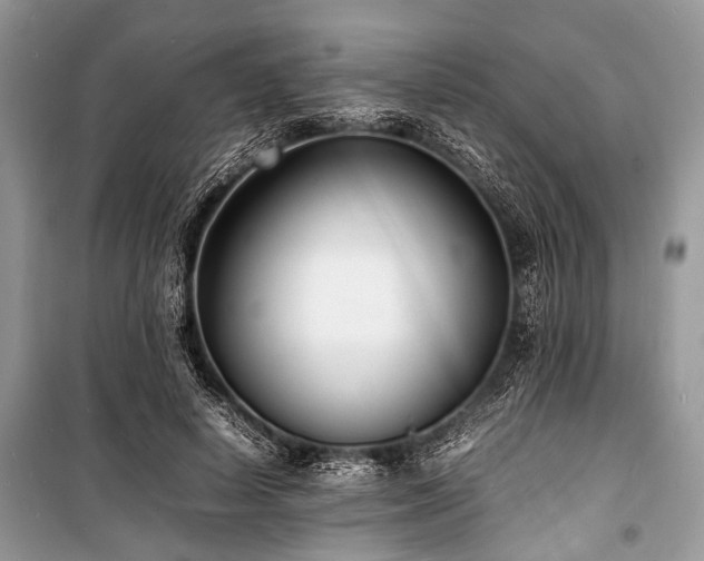 X0000100980642200806241544