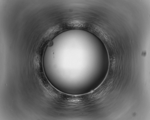 X0000100980643200806241544