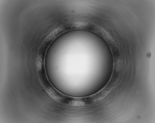 X0000100980644200806241544