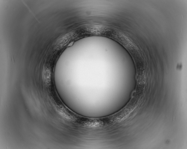 X0000100980646200806241544