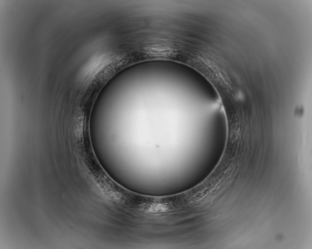 X0000100980647200806241544