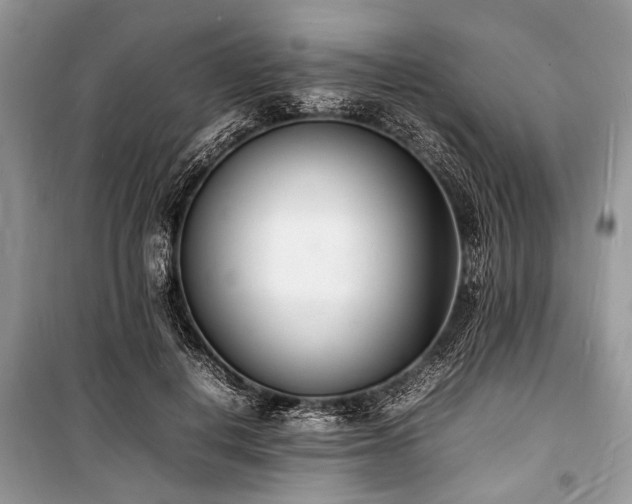 X0000100980648200806241544