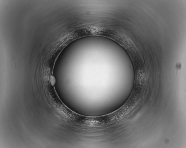 X0000100980650200806241544